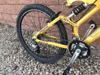 mongoose.webp